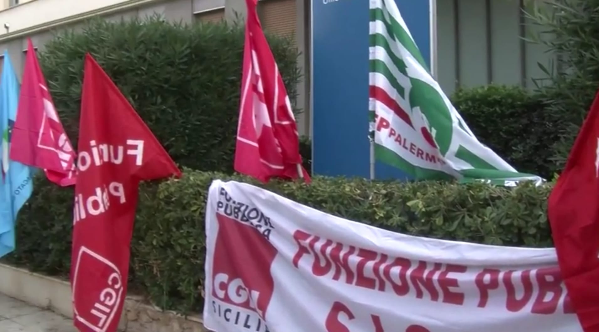 WhatsApp Image 2020-11-13 at 13.29.23