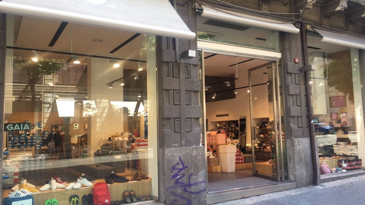 180038817-3a3cd749-81bd-4616-86f4-5b248164e456