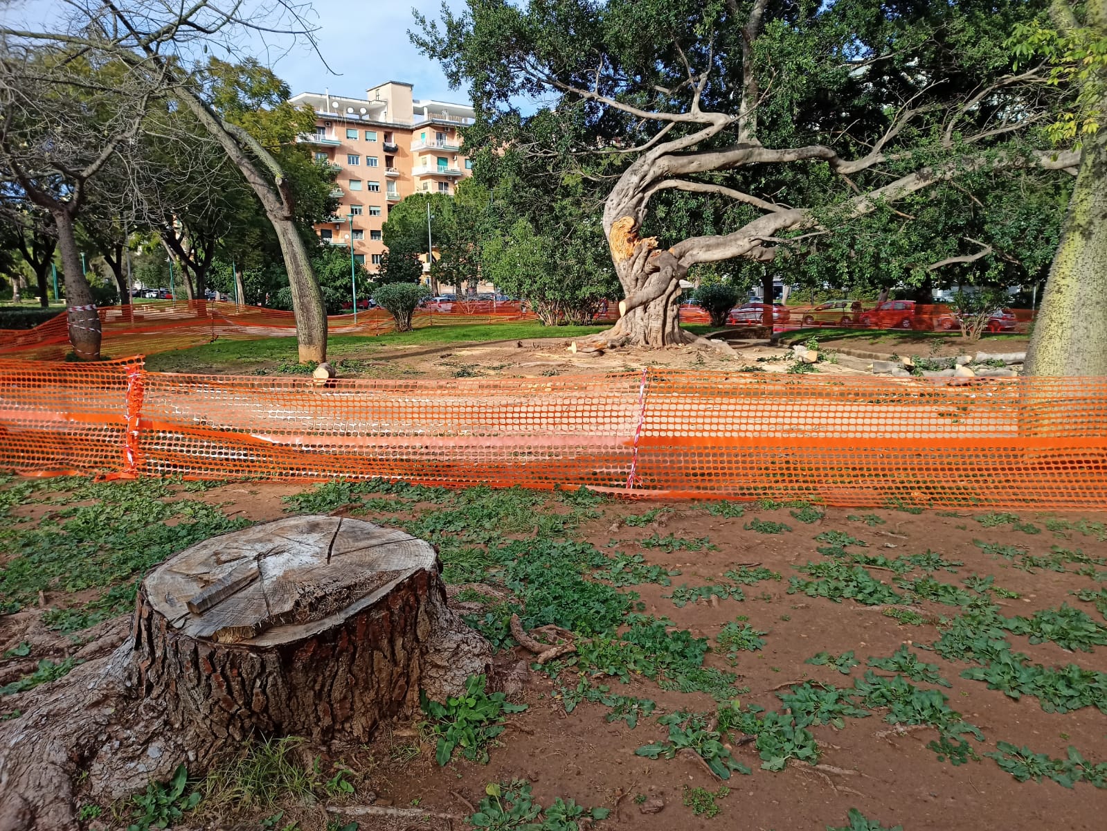 villa sperlinga alberi rami caduti