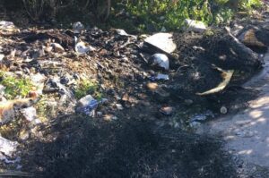 incendio rifiuti zen