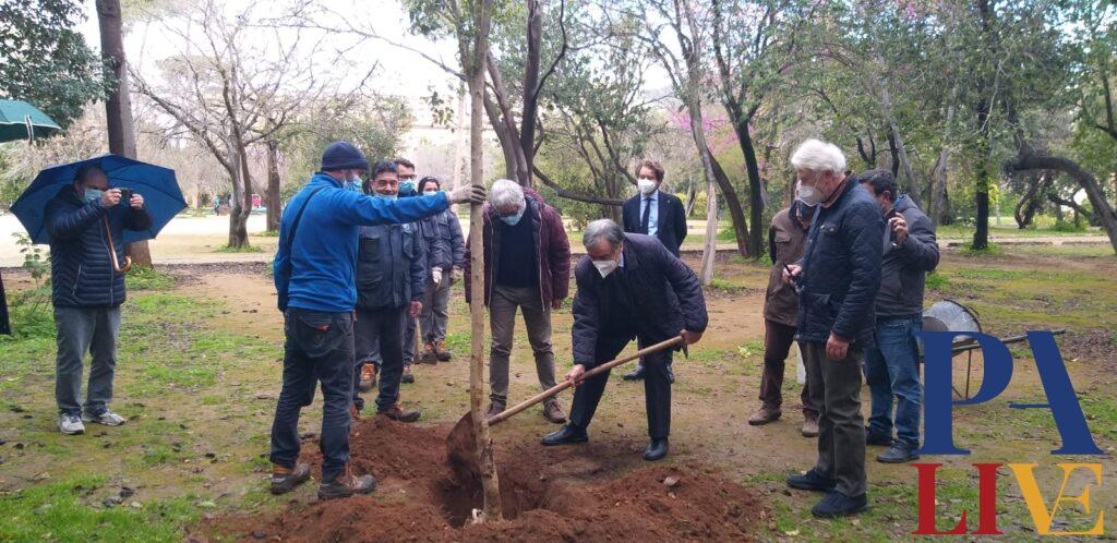 Leoluca Orlando pianta albero a Villa Trabia