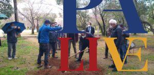 Leoluca Orlando pianta albero a Villa Trabia