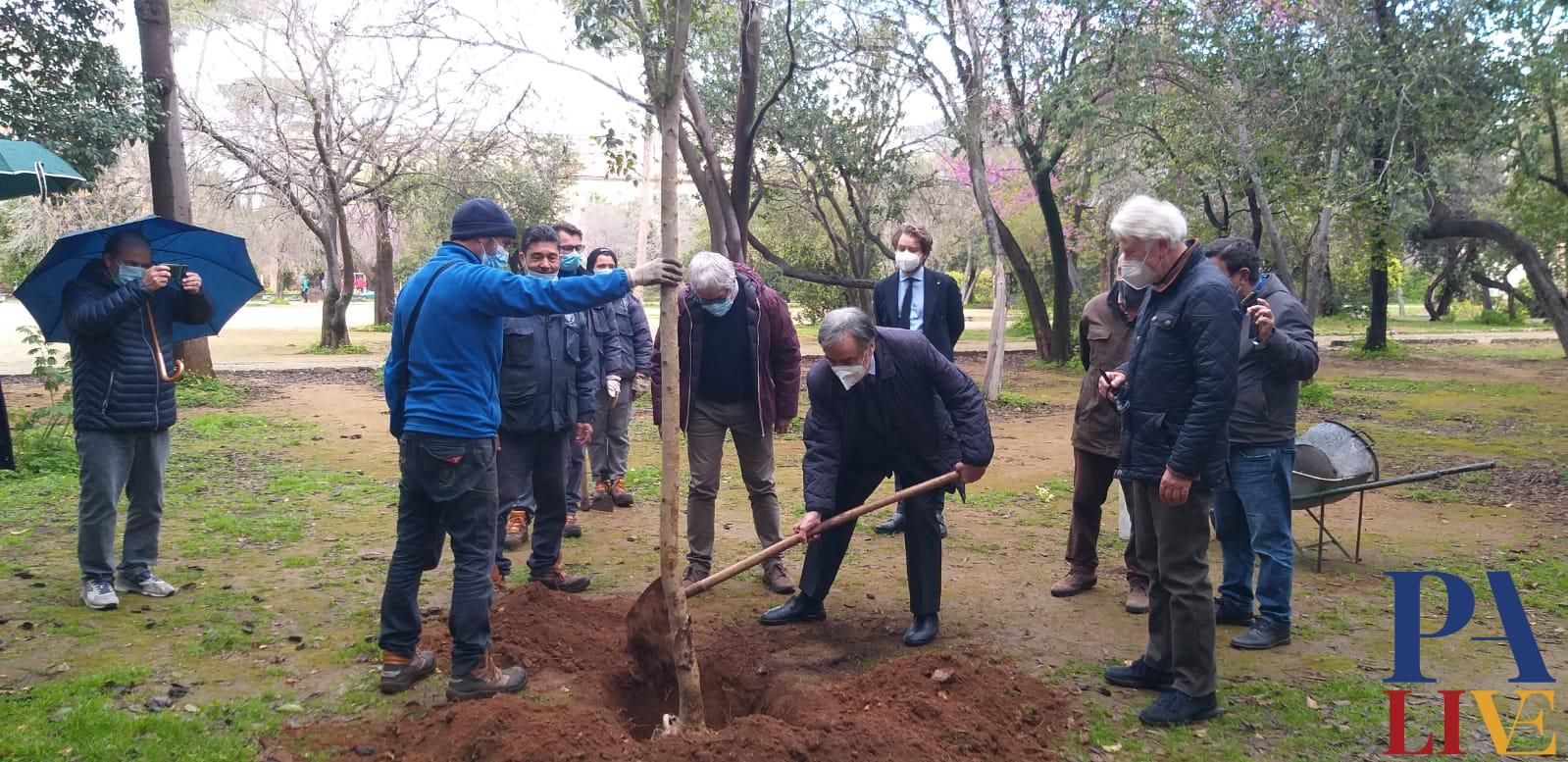 Leoluca Orlando pianta albero a Villa Trabia