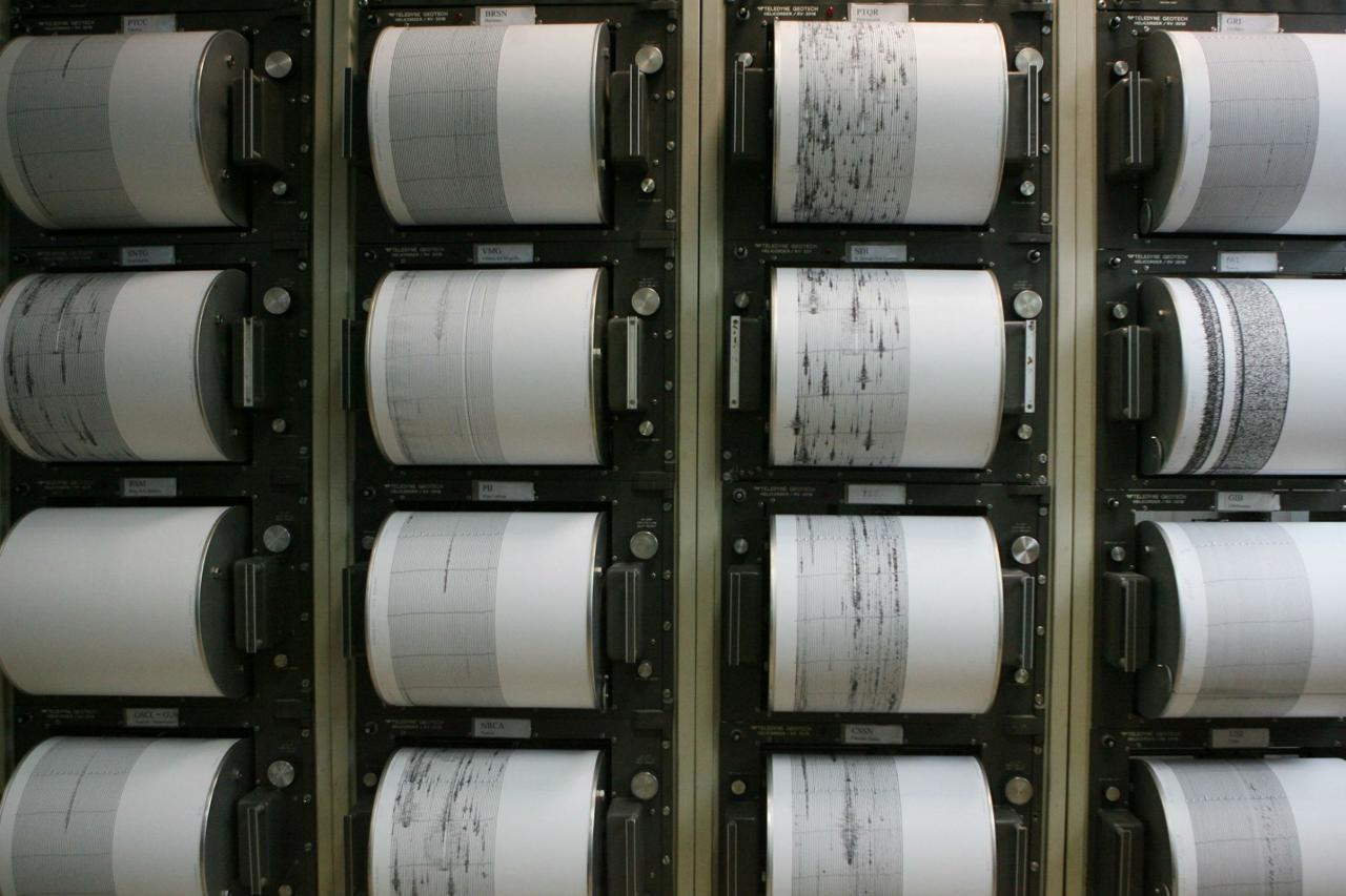 SCOSSA TERREMOTO ADRIATICO