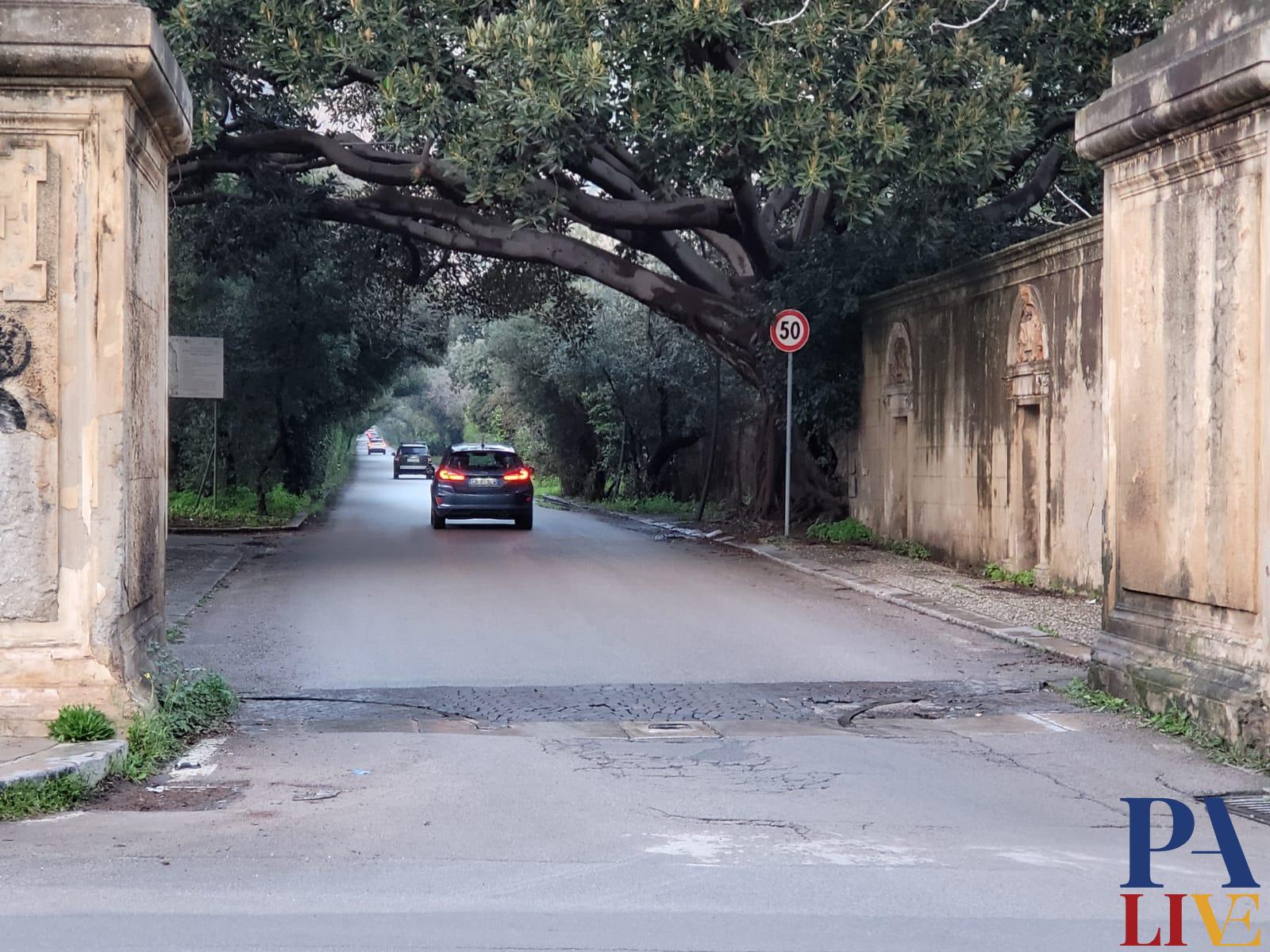 f1374def-0027-4708-91b0-dec33c28c80f