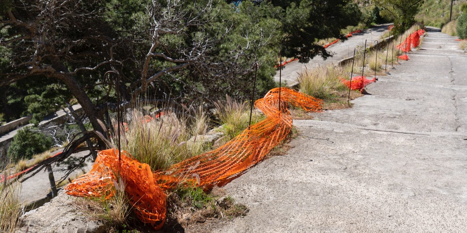 Monte Pellegrino, Palermo
