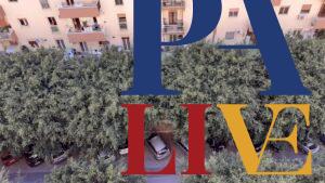 alberi via Corradino di Svevia, Zisa