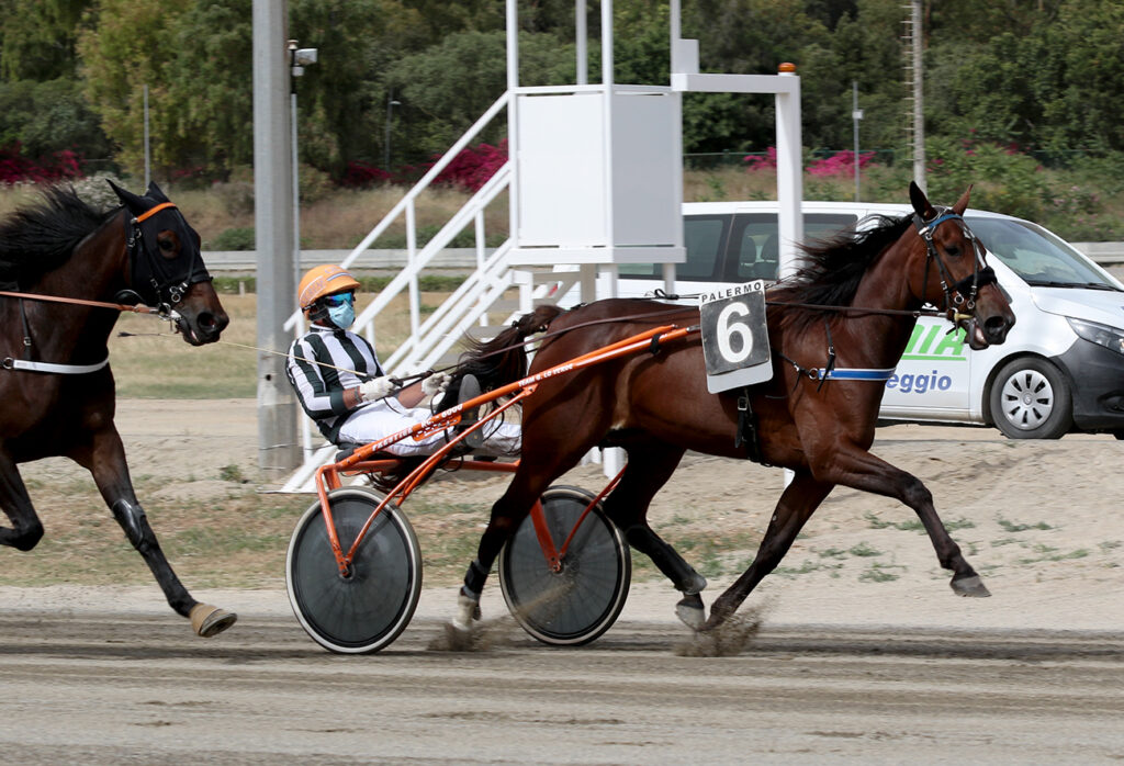 Criss Cross con Lo Verde