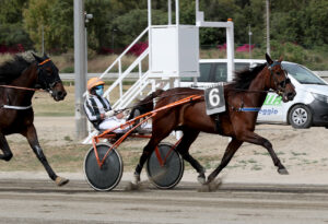 Criss Cross con Lo Verde