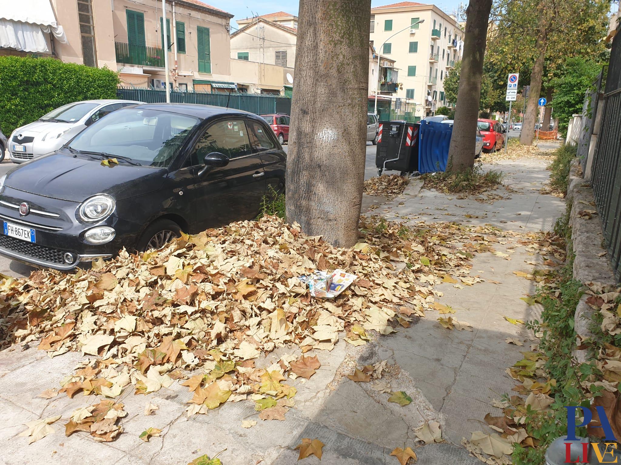 e07edb00-3733-48ff-9053-8f4da9faad9e