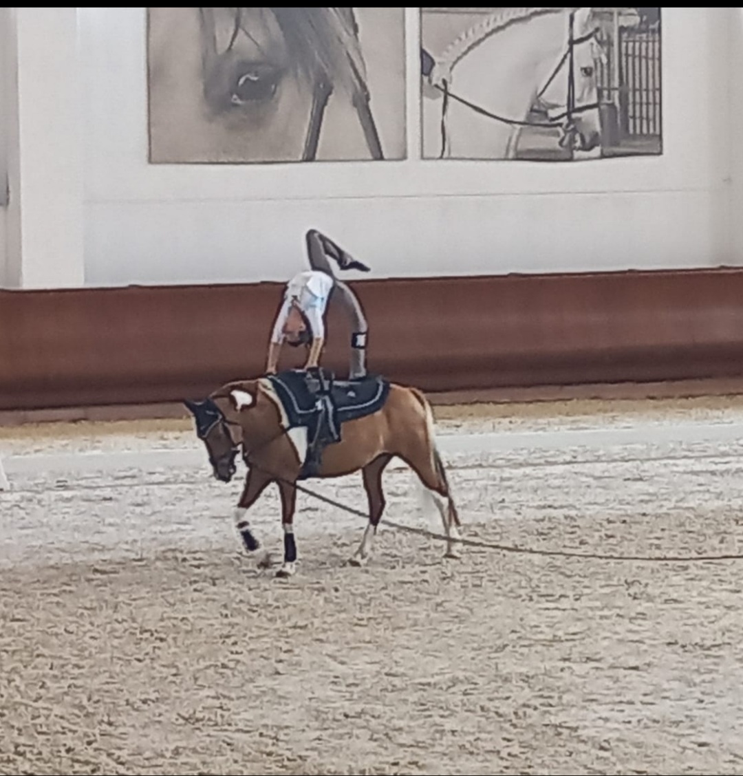 46821ff1-9d2f-43f6-9376-16adb75396f2