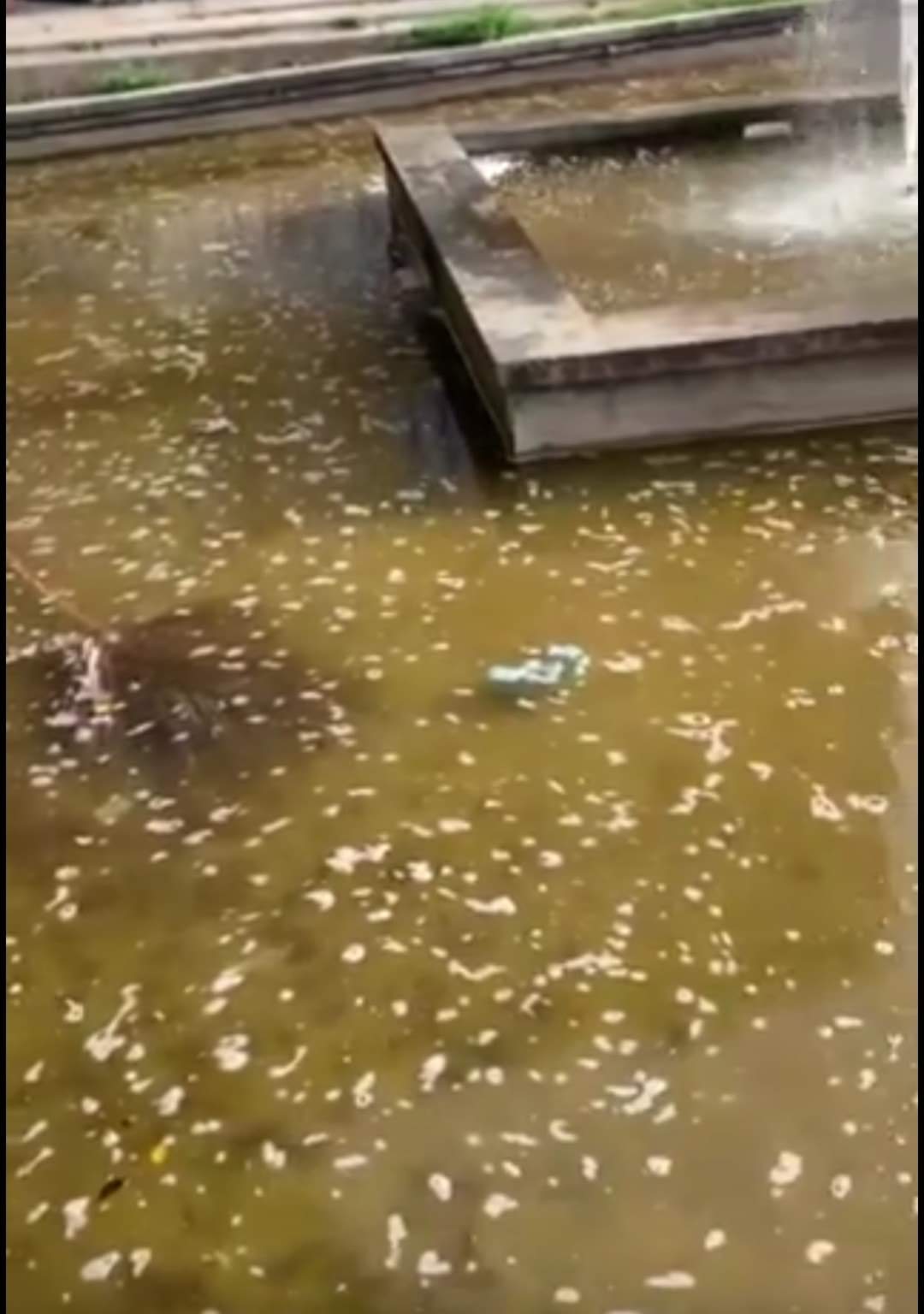 FB_IMG_1624477597386