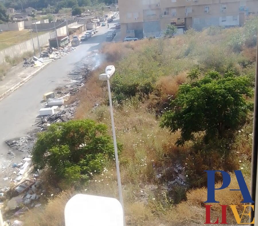 Zen 2 rifiuti via rocky marciano