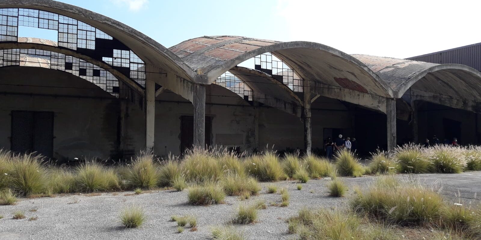 cotonificio siciliano