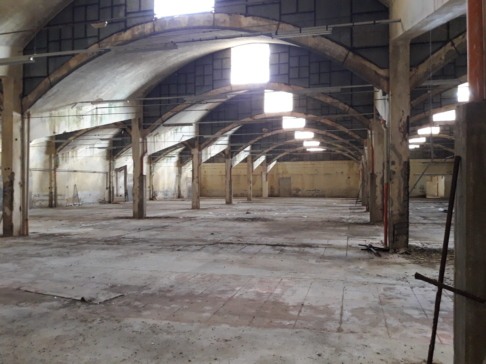 cotonificio siciliano