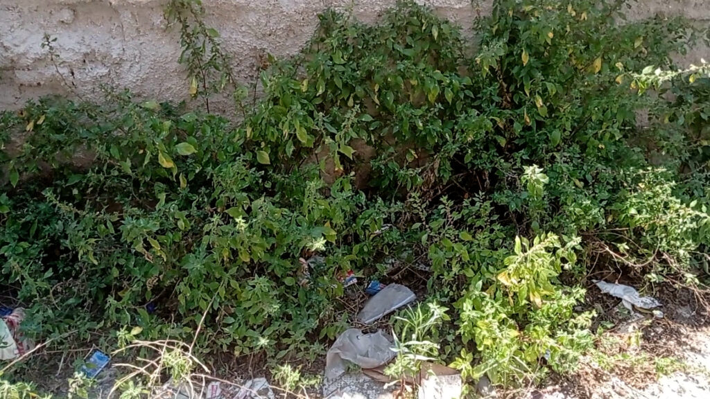 degrado ambientale zona don orione