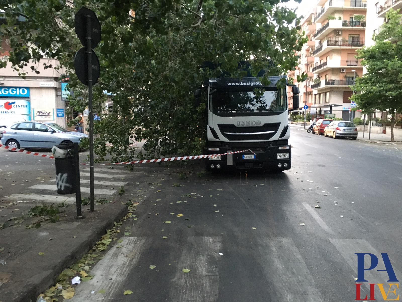 tir via duca verdura