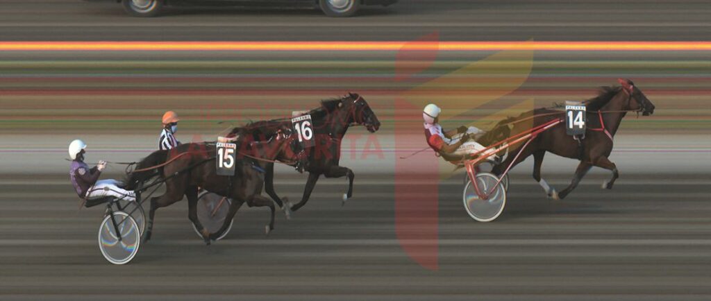 All of host (Ippodromo - Sesta corsa - vincente Porzio jr)