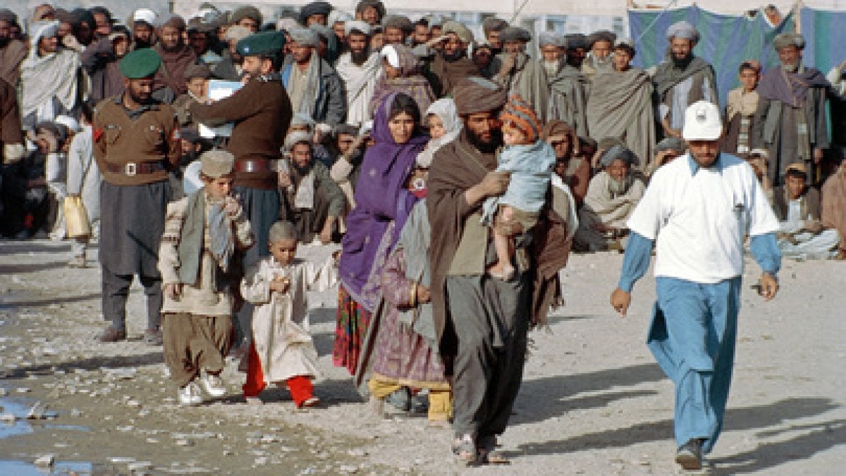 164937894-d9c88075-812c-4678-b6cf-6ee5cba4199e