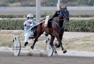 AUREA-WISE-L L. Messineo jr. - Ippodromo - Zeppelin Kyu