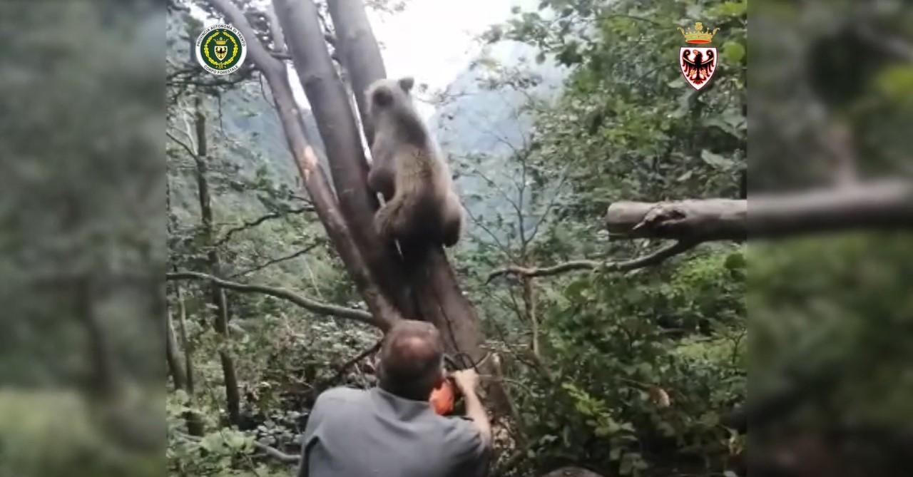 Immagine 2021-08-04 181216-k1oD-U46090539121730j2B-1280x669@CorriereBologna-Web-Bologna