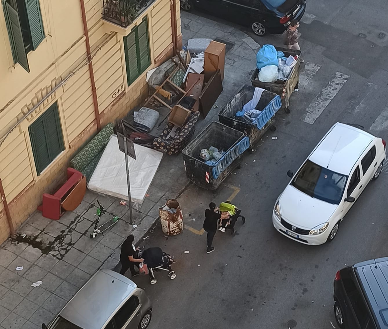 242557762_6550012821705751_6419744689281563035_n