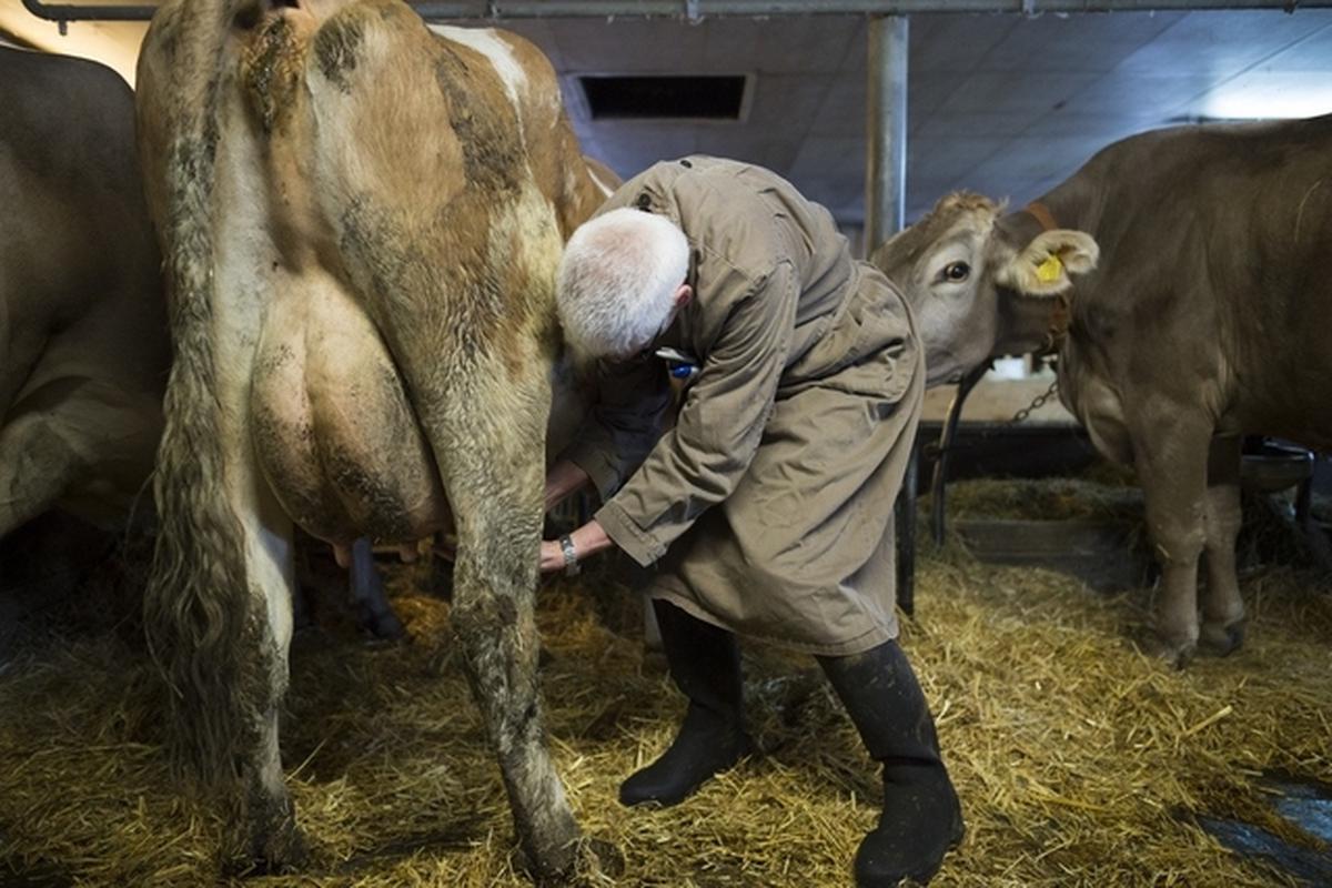 6B4BI5sTKtG8imcKpt_-lH