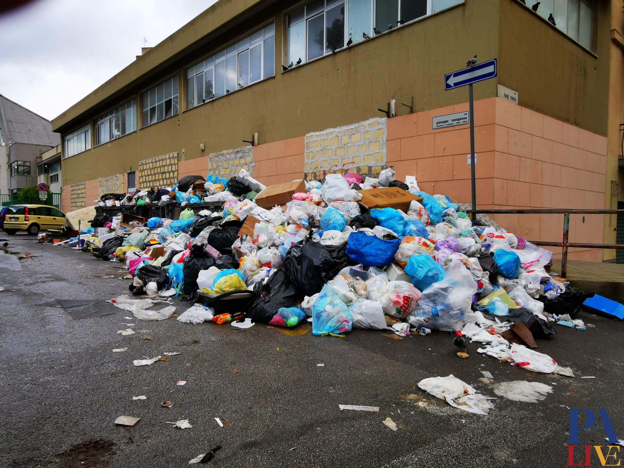 WhatsApp Image 2021-10-19 at 08.42.58