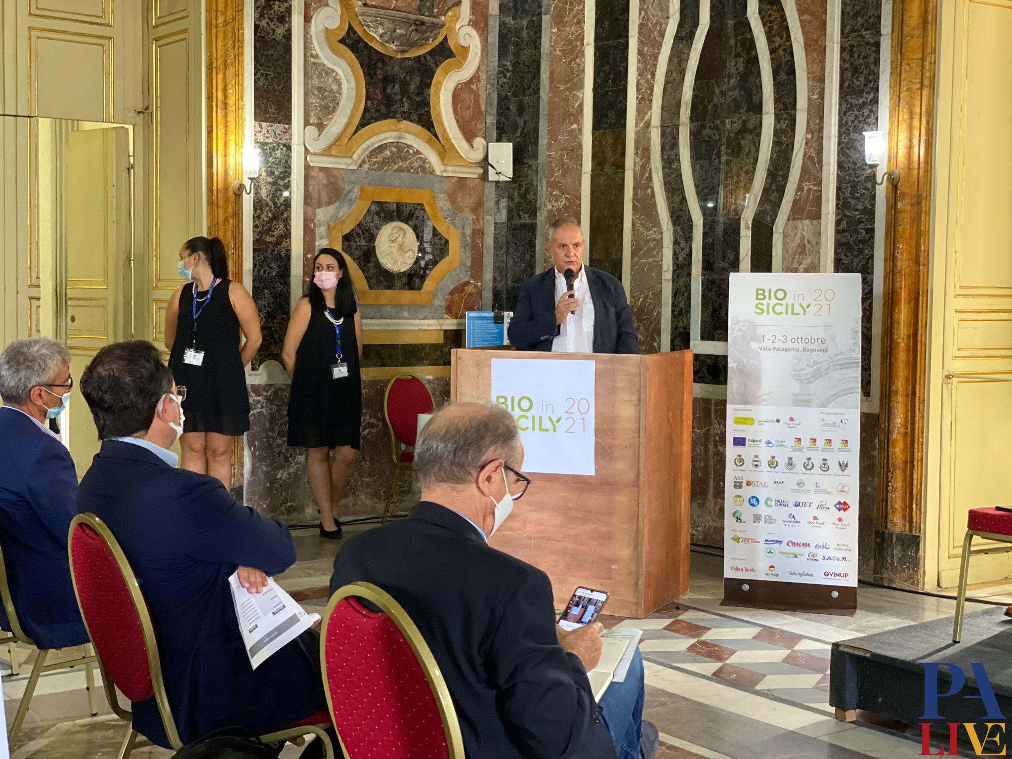 bio in sicily-bagheria-pesca