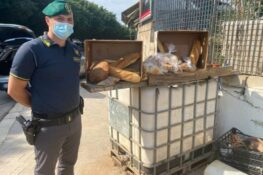 d25cdf1f-23dd-45f9-84d9-569ebefb5ad3