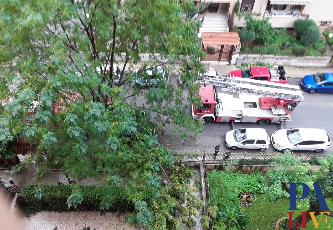 WhatsApp Image 2021-11-10 at 10.11.23