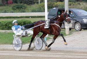 ZEPPELIN-KYU-BAR---driver-S.Cintura