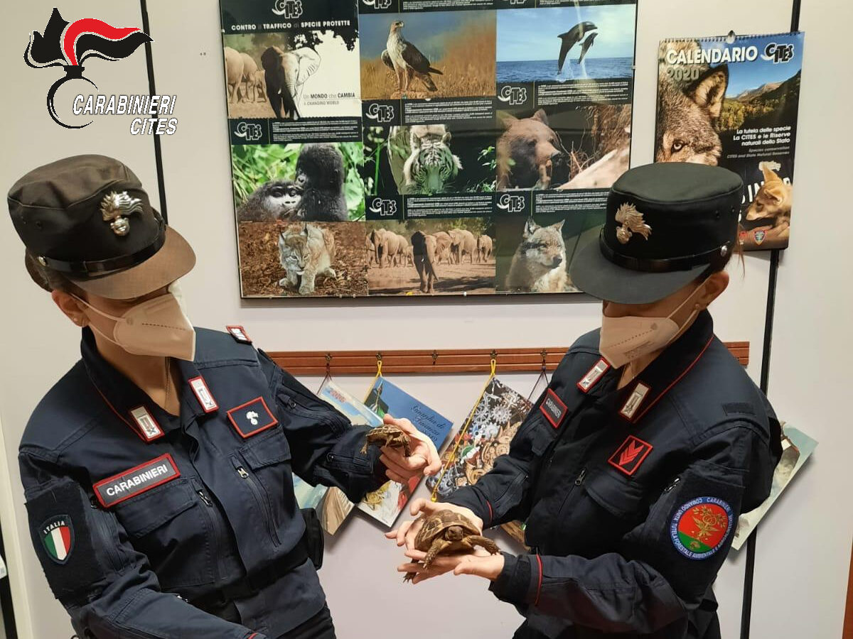 PHOTO-2021-12-24-09-06-42