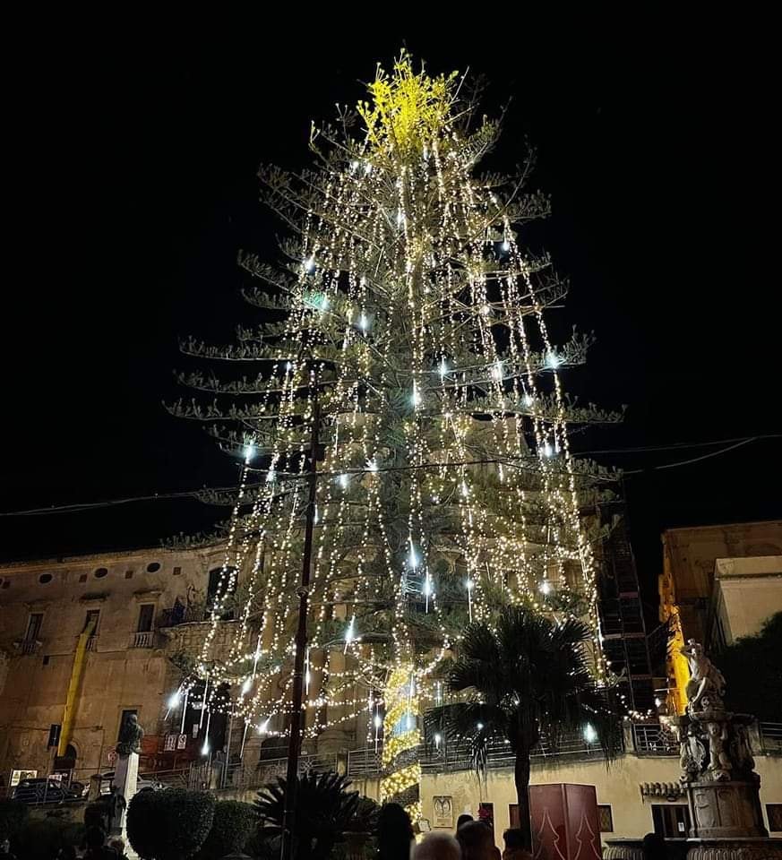 alberi di Natale