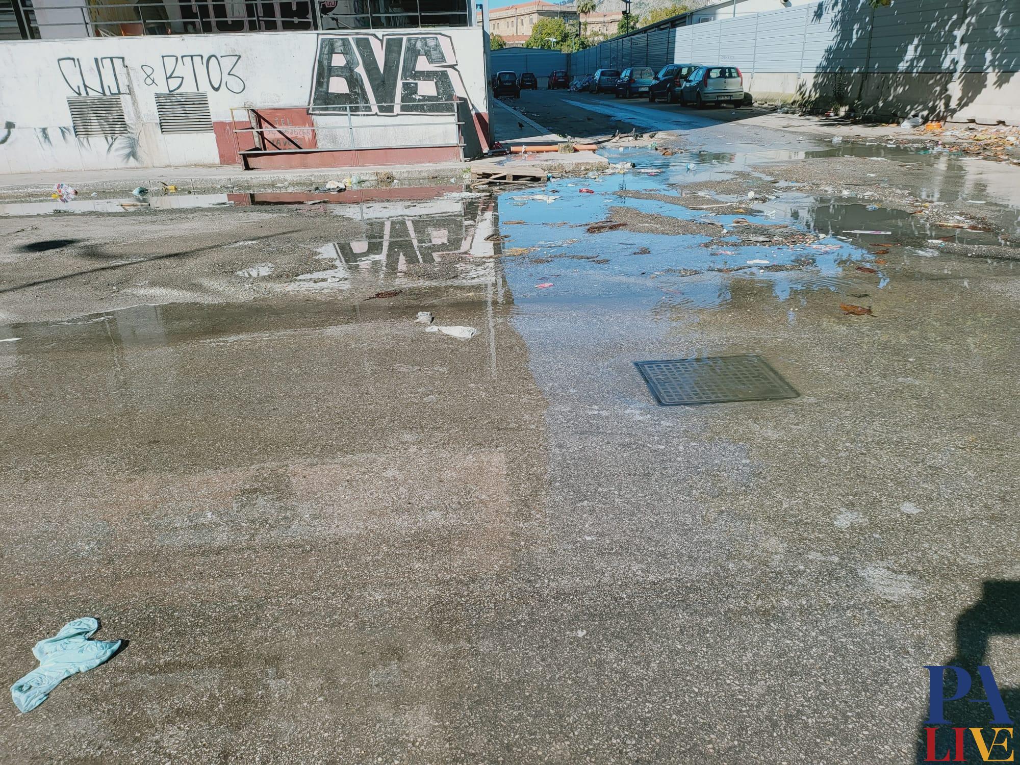 WhatsApp Image 2022-01-30 at 18.18.10 (1)