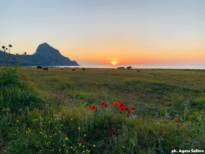Baia per matrimoni civili, San Vito Lo Capo