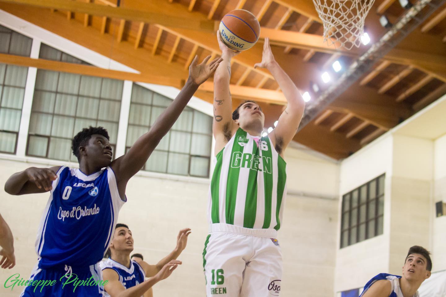 green basket - orlandina 1