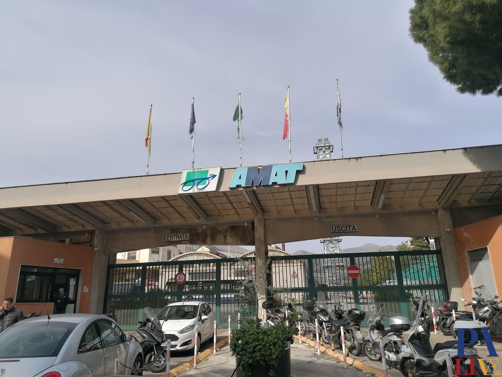 WhatsApp-Image-2022-03-11-at-18.23.32