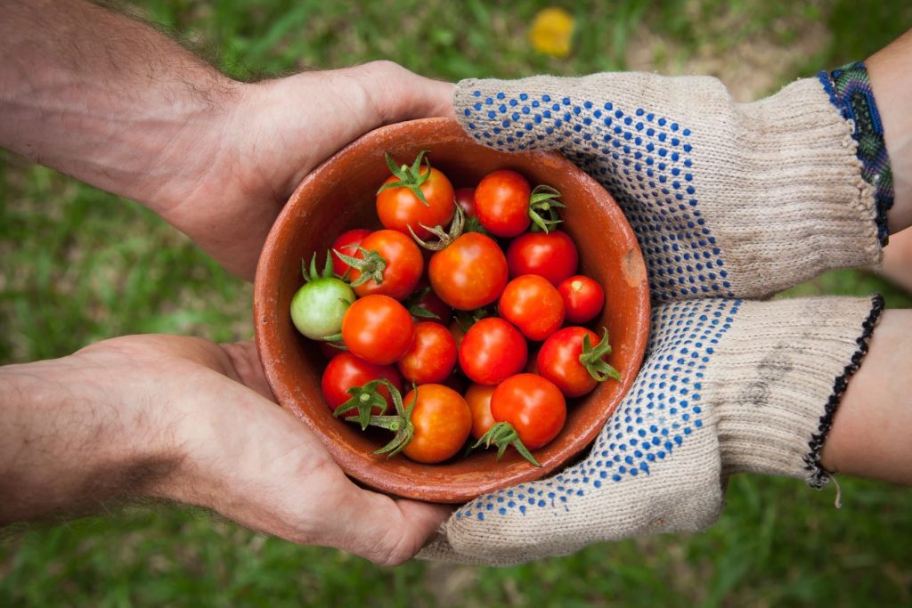 sicurezza alimentare