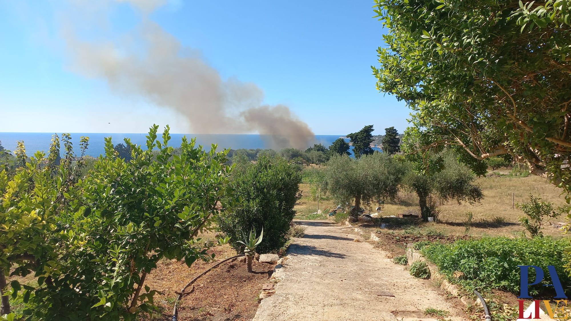 16626674-5458-4A3C-BFDE-5CD70E39CC82