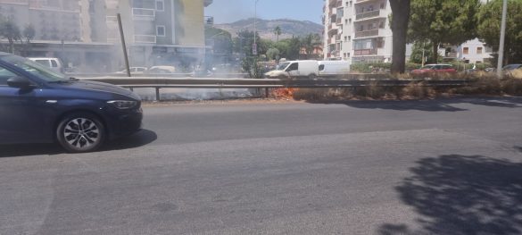 WhatsApp Image 2022-07-27 at 12.51.23