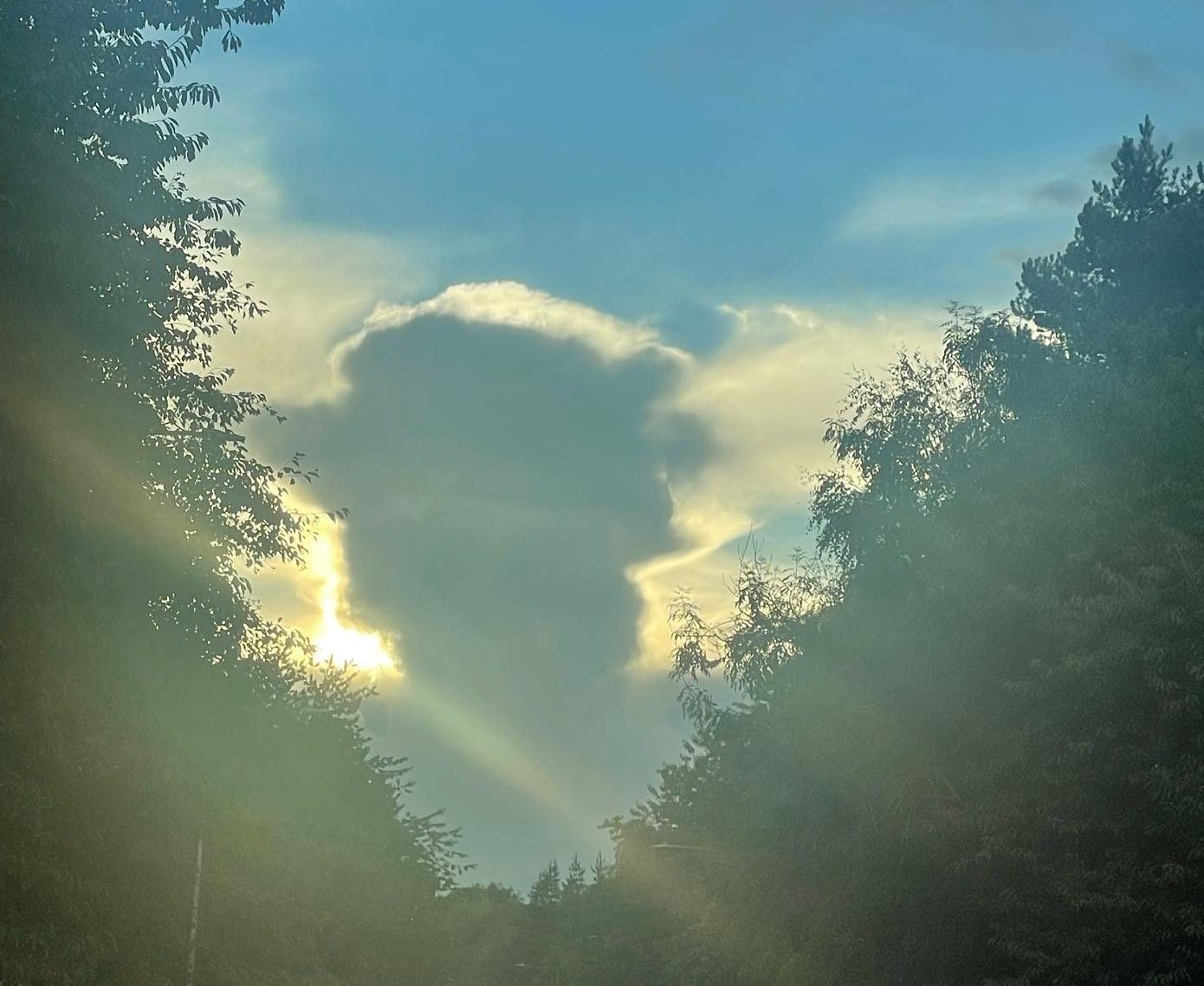 305212879_10230343500358550_711095883620273237_n