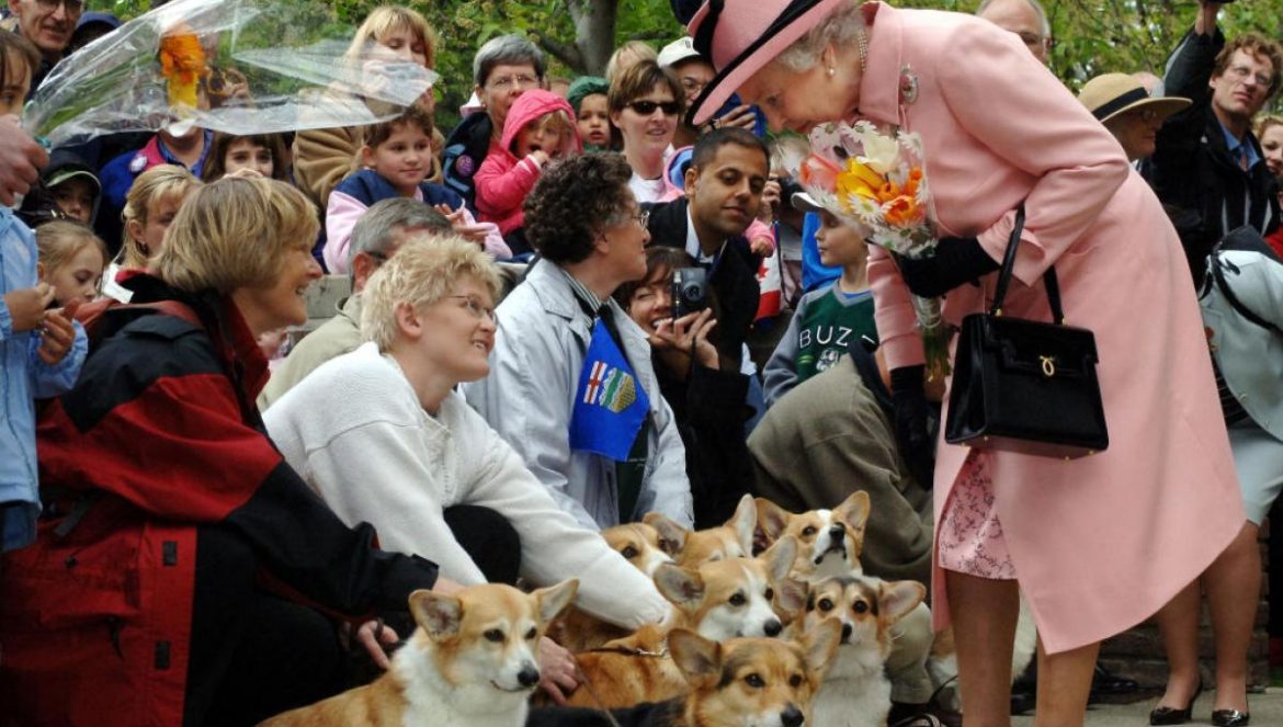 regina_elisabetta_cani