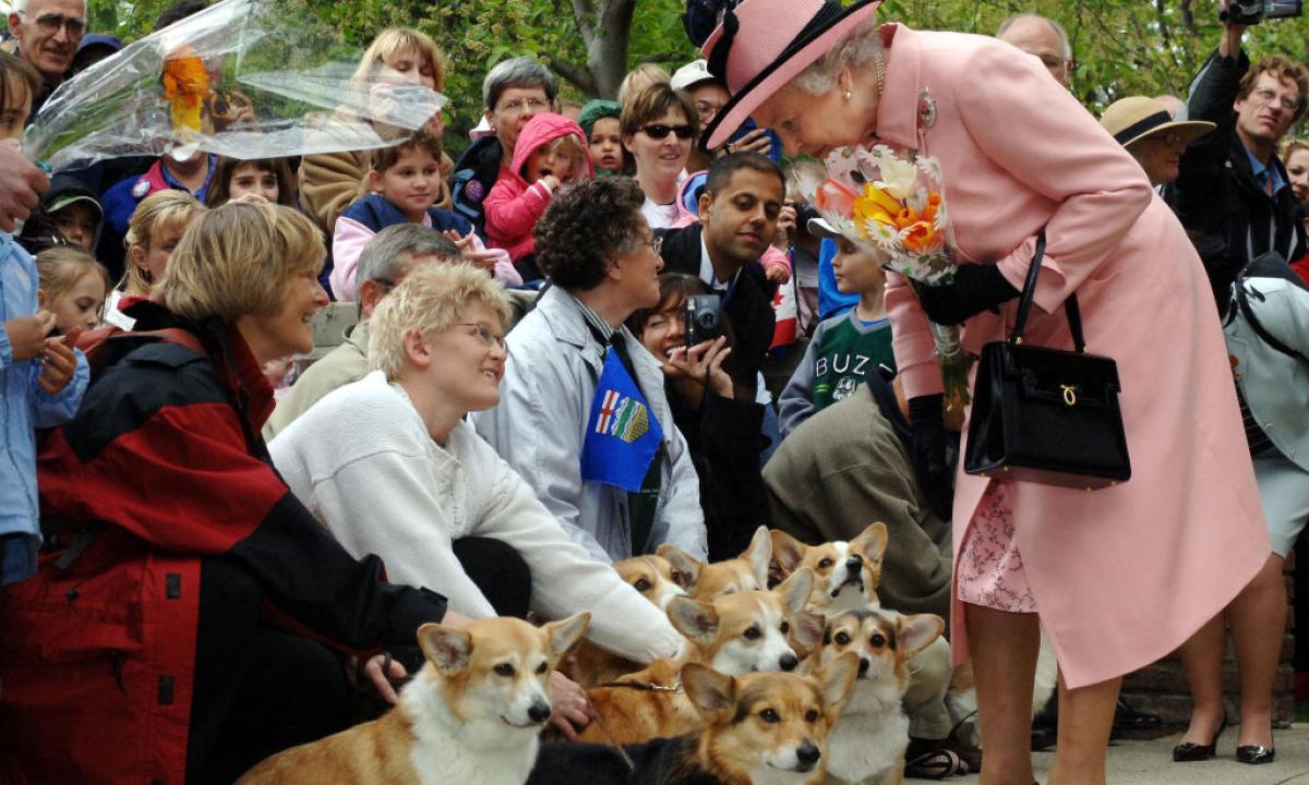 regina_elisabetta_cani