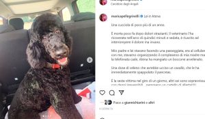 Marica Pellegrinelli