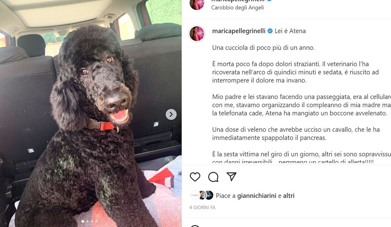 Marica Pellegrinelli