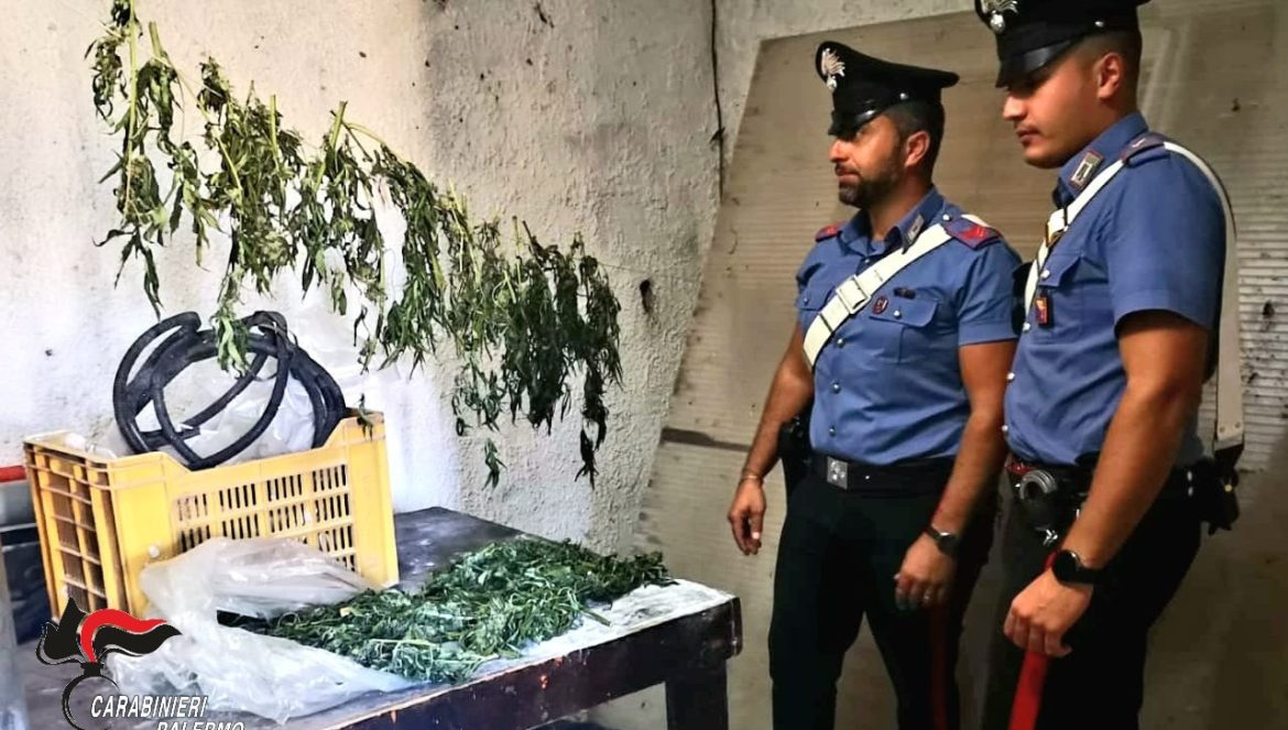 Foto CC arresto Partinico