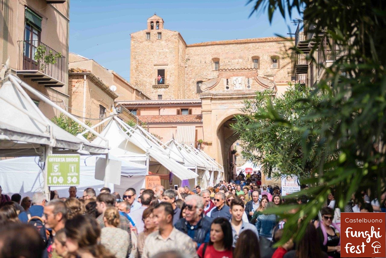 funghi fest 2