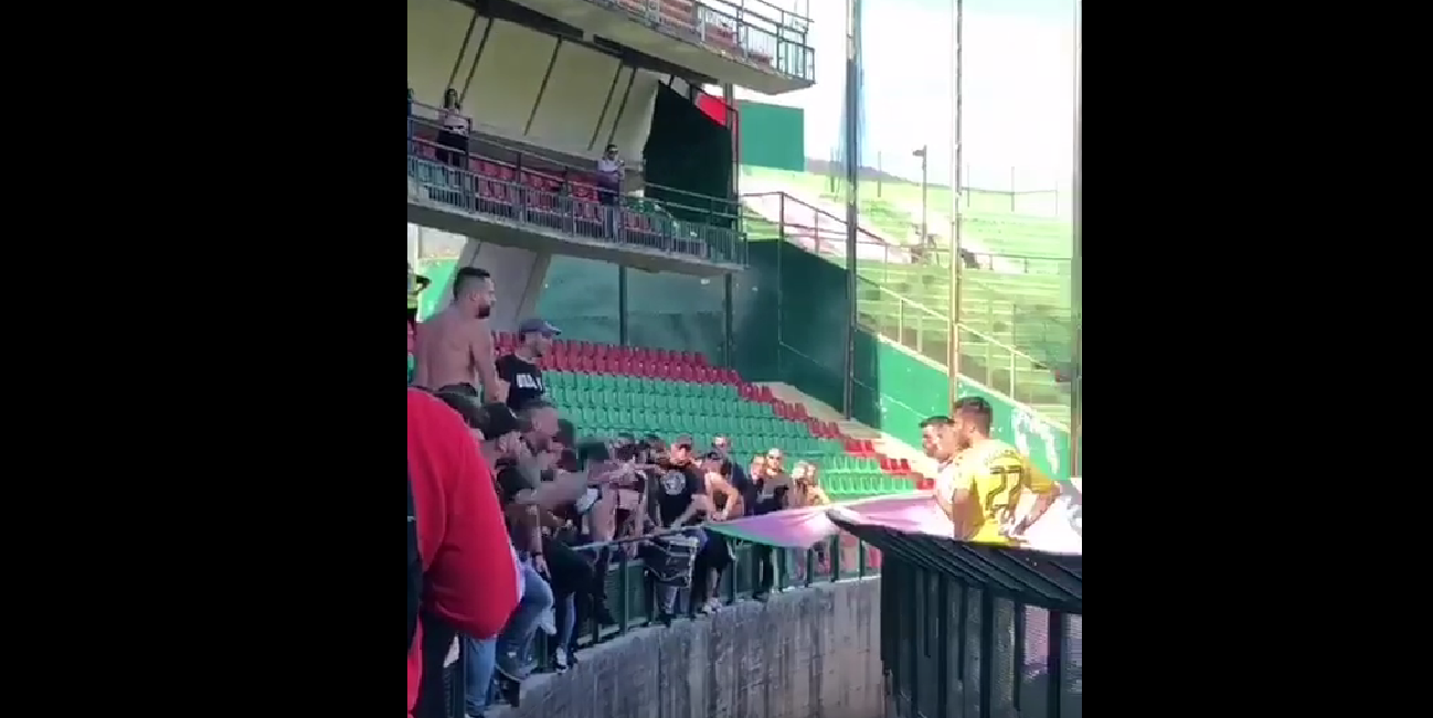 palermo tifosi video