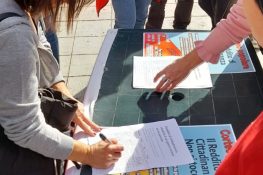 Reddito di cittadinanza